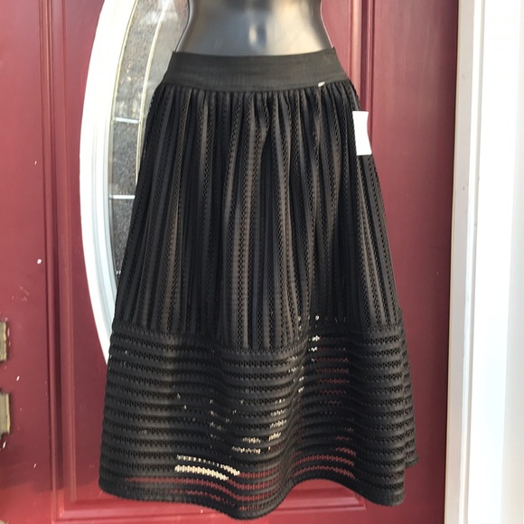 Dresses & Skirts - 🐩Skirt🐩